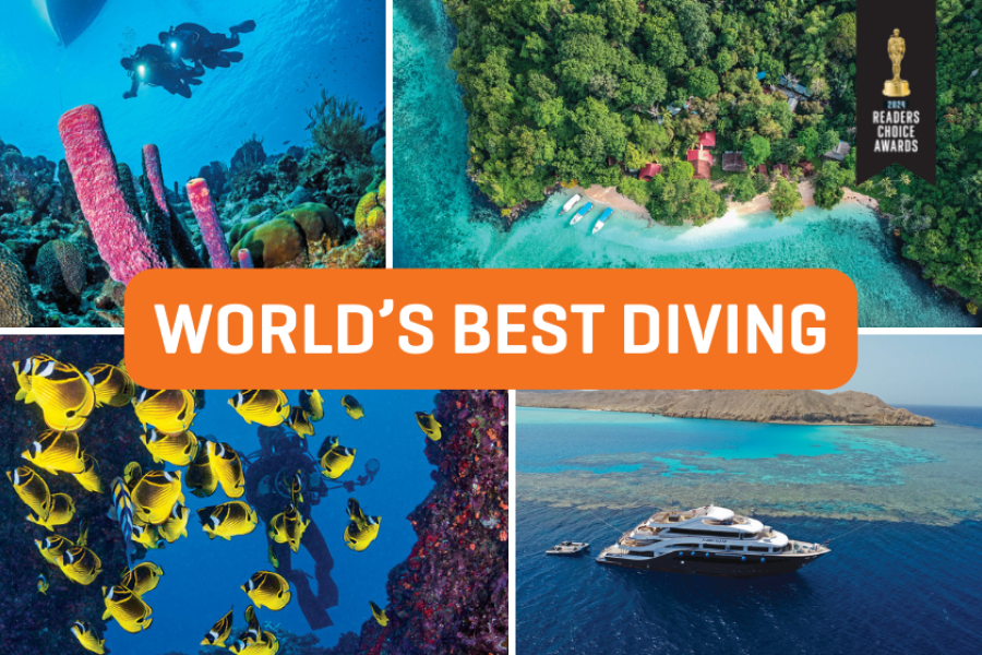 Scuba Diving's 2025 Readers Choice Awards Scuba Diving